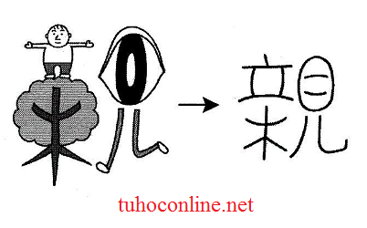 Học chữ Kanji bằng hình ảnh 矢、族 、親