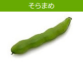 rau củ phổ biến ở Nhật Bản 