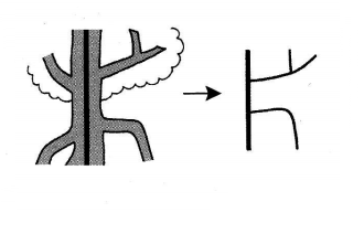 Cách nhớ chữ Kanji 片