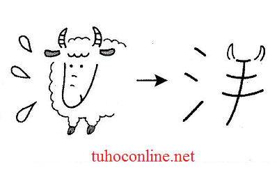 Học chữ Kanji bằng hình ảnh 画、羊 、洋