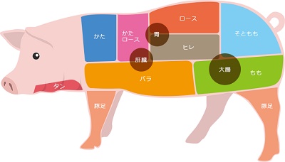 Các bộ phận con lợn bằng tiếng Nhật