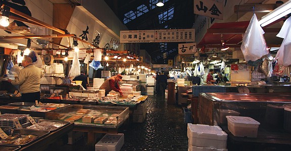 Khu vực bán buôn chợ hải sản Tsukiji