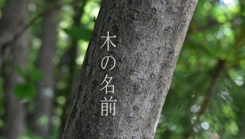 tên các loại cây trong tiếng Nhật