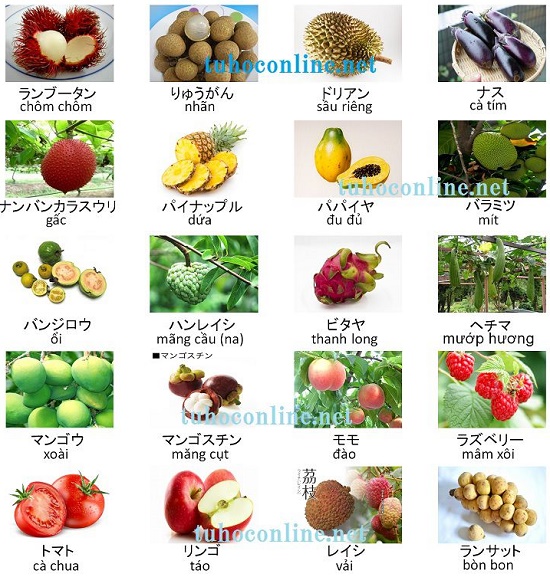 Tên các loại rau củ quả việt nam bằng tiếng Nhật
