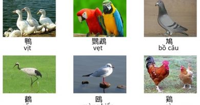 Tên các loài chim bằng tiếng Nhật