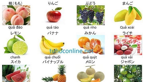 Từ vựng về các loại quả trong tiếng Nhật