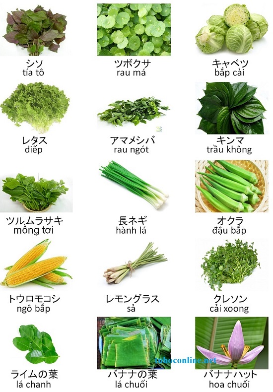 Tên và hình ảnh các loại rau